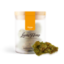 Mango CBG Blüten Lucky Hemp   