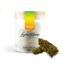 California Pineapple Express Glas Blüten Lucky Hemp   