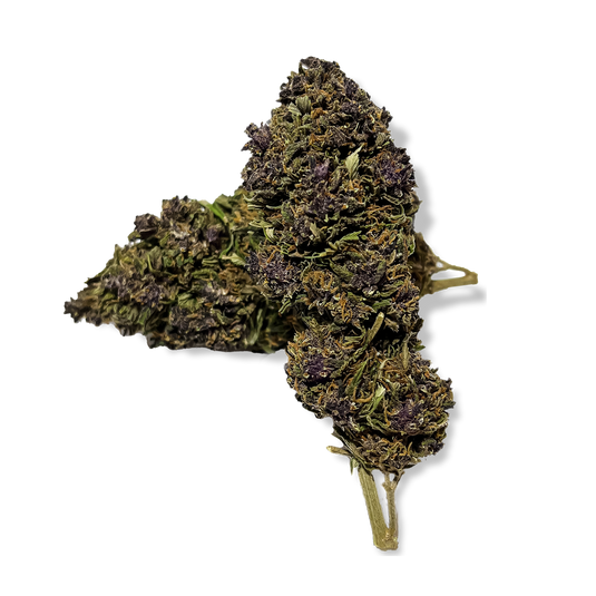 Purple Haze Ökopack Blüten Lucky Hemp   