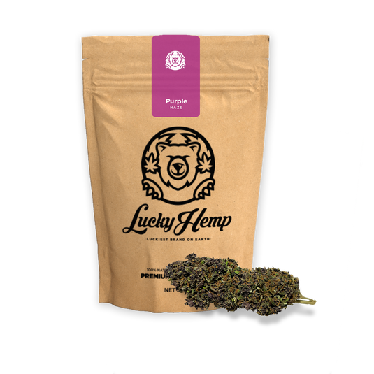 Purple Haze Ökopack Blüten Lucky Hemp   