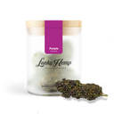 Purple Haze Glas Blüten Lucky Hemp   