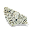 Snow Haze® 50% CBD Glas Blüten Lucky Hemp   