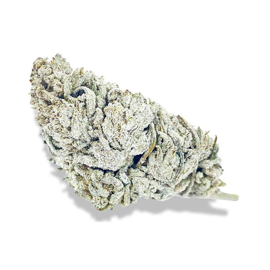 Snow Haze® 50% CBD Glas Blüten Lucky Hemp   