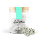 Snow Haze® 50% CBD Glas Blüten Lucky Hemp   