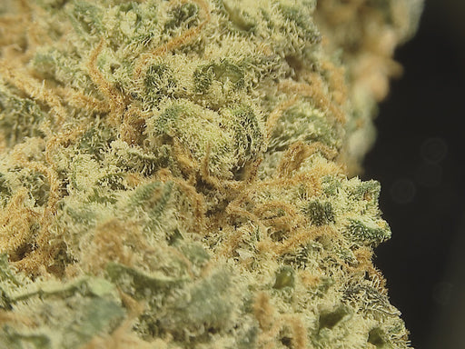 California Pineapple Express Glas Blüten Lucky Hemp